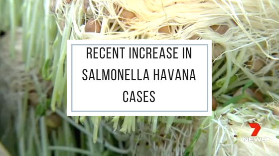 Alert! Recent increase in Salmonella Havana cases