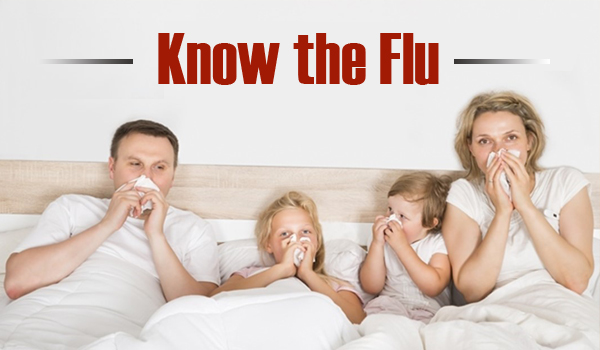 Flu or Common Cold